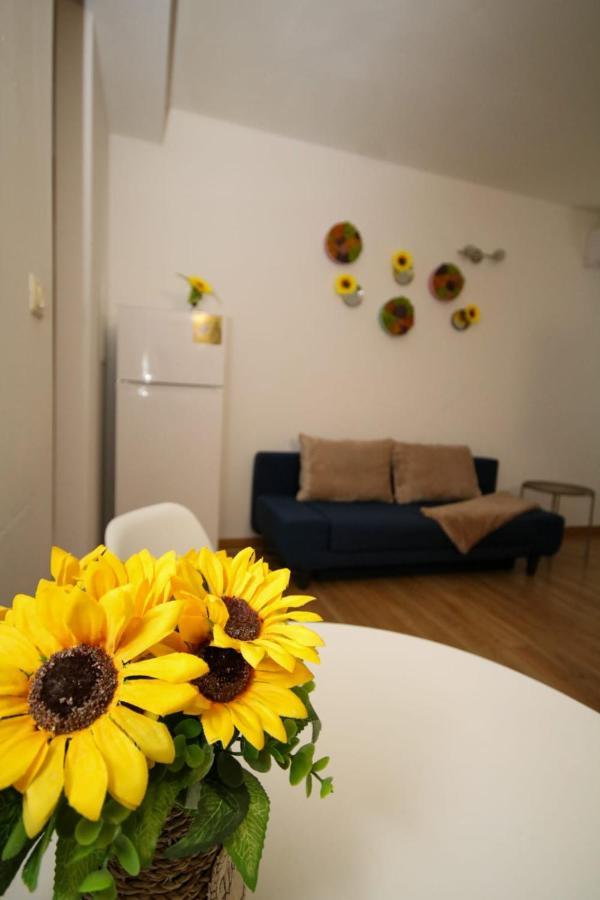 Sunrise Studio Timişoara Exteriör bild